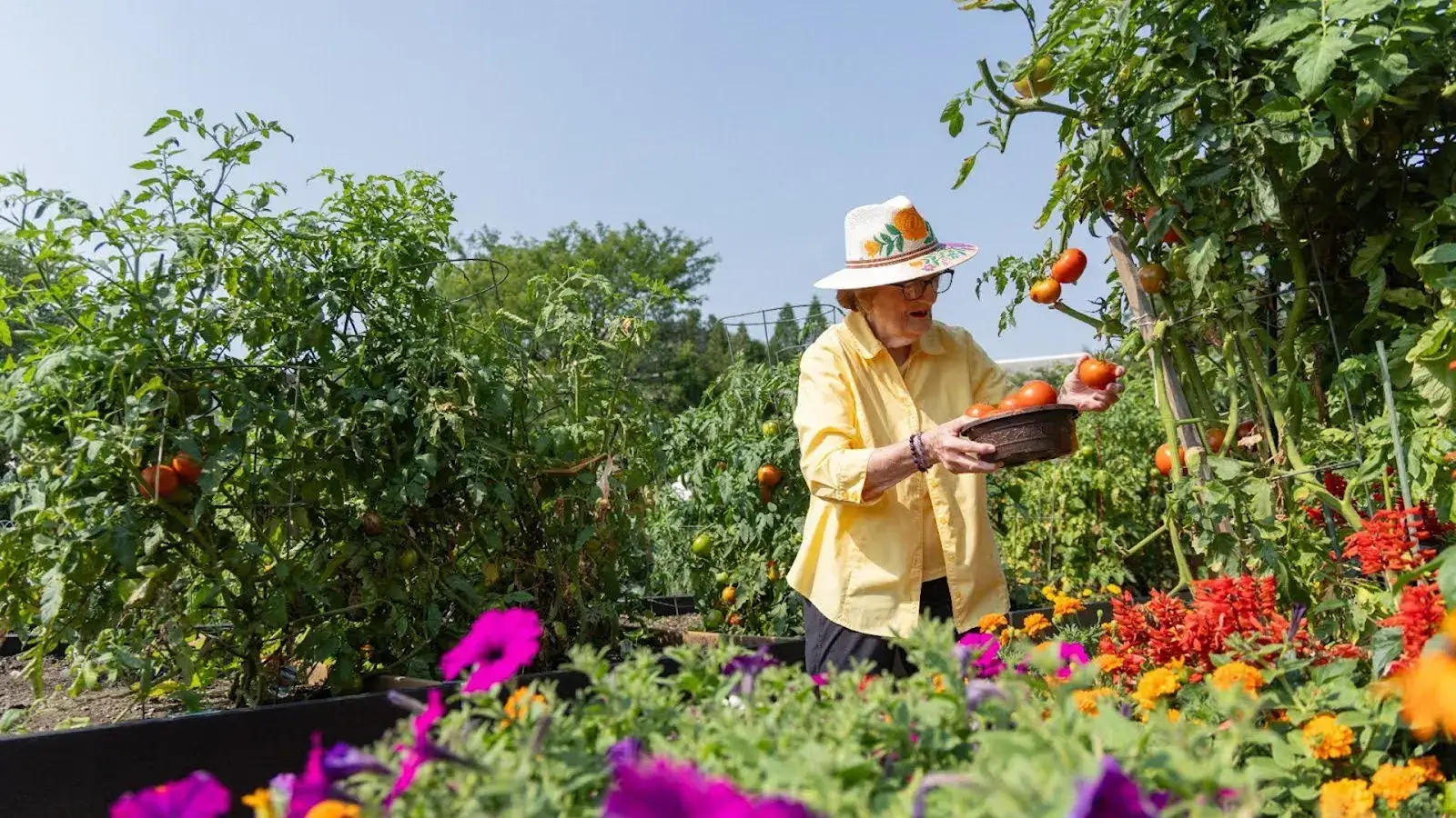 Senior woman gardening outdoors because it's one of the 10 ways to prevent Alzheimer's at The Moorings of Arlington Heights in Arlington, IL.