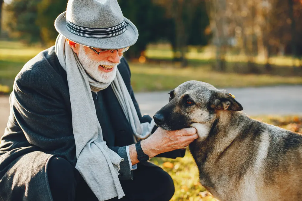 Handsome,Grandfather,In,A,Autumn,Park.,Old,Man,In,A dogs are one of the best companion pets for seniors