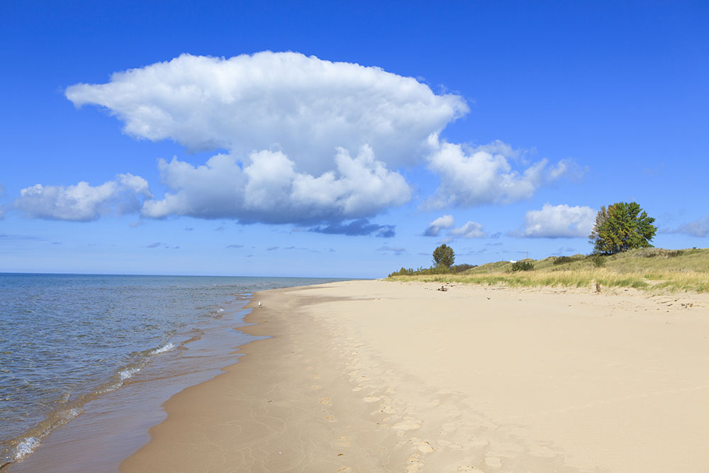 Beach-with-white-clouds-in-blue-sky Forest Park Beach