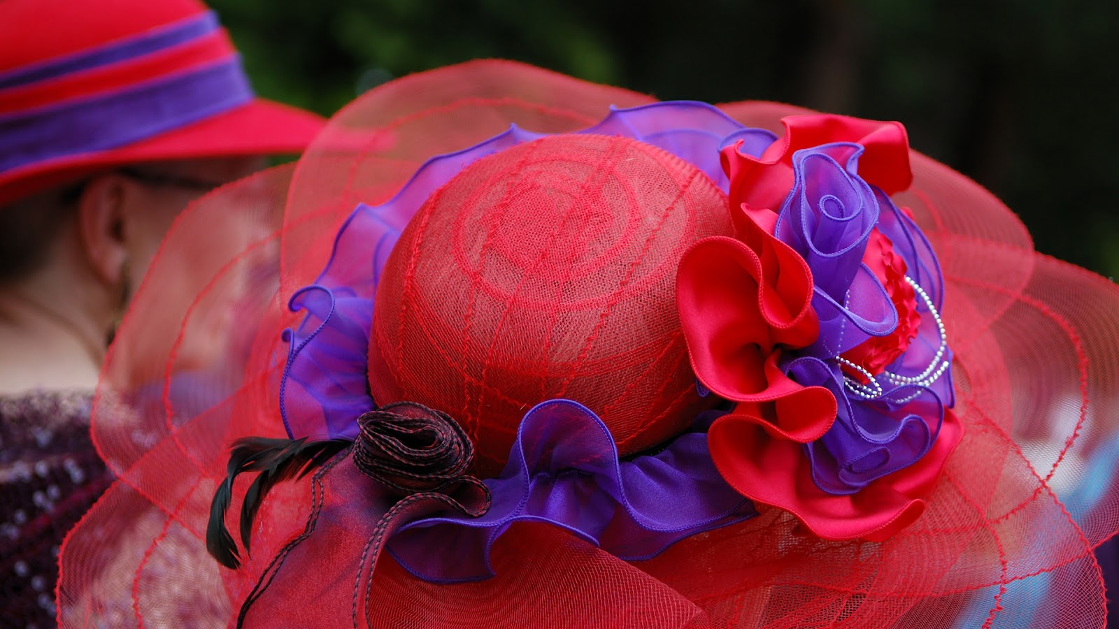 red and purple fancy hat Close-up of a fancy red and purple hat