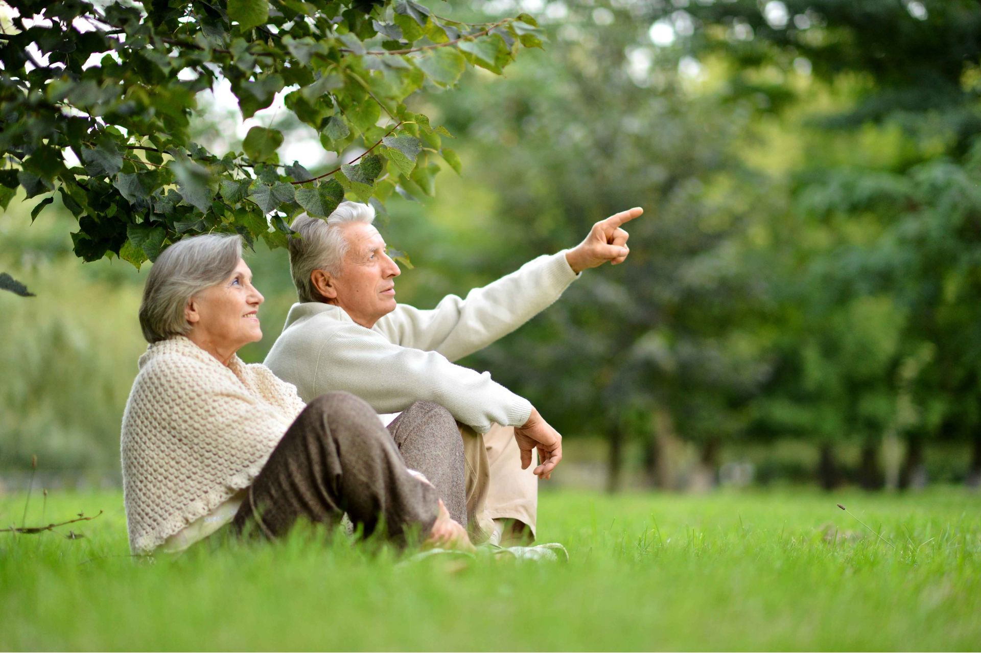 shutterstock_1182428866 Happy senior couple sitting in the grass at a park