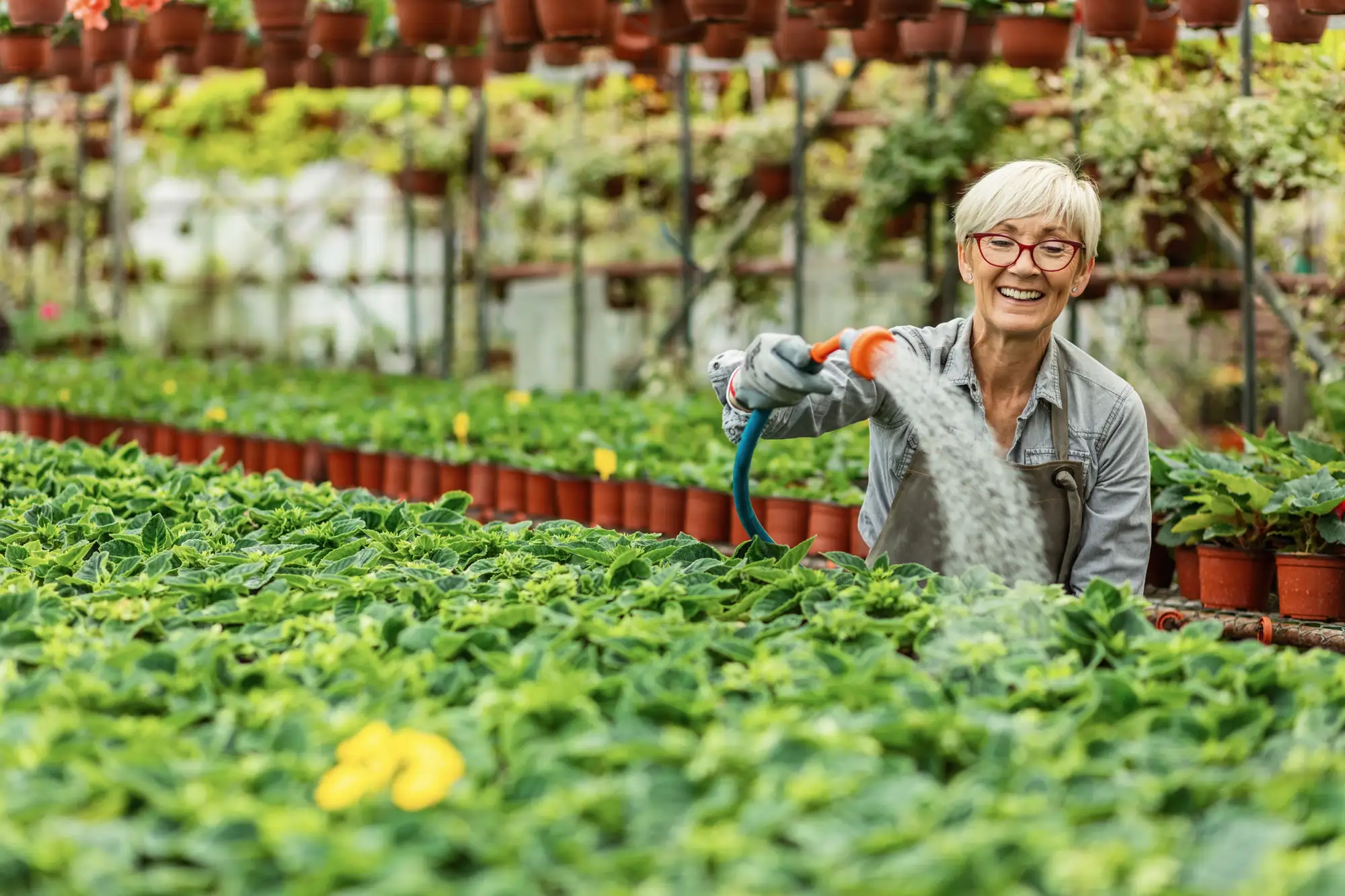 senior woman watering plants