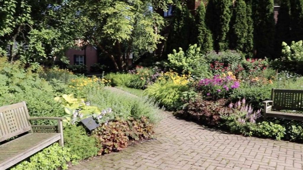 a walking path surrounded by flowers with a few benches