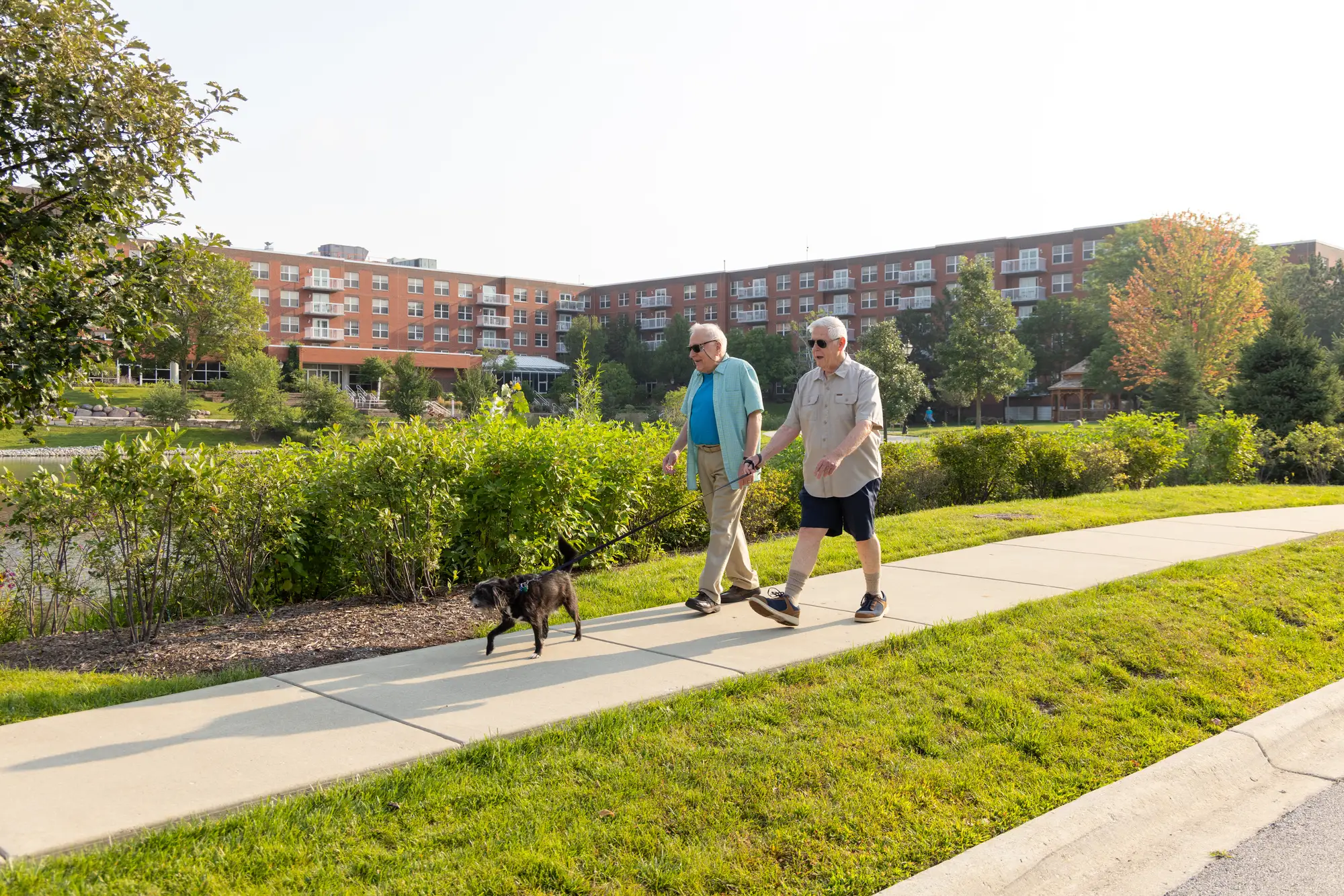 two senior men walk a dog on the sidewalk outside of The Moorings of Arlington Heights, a pet friendly community