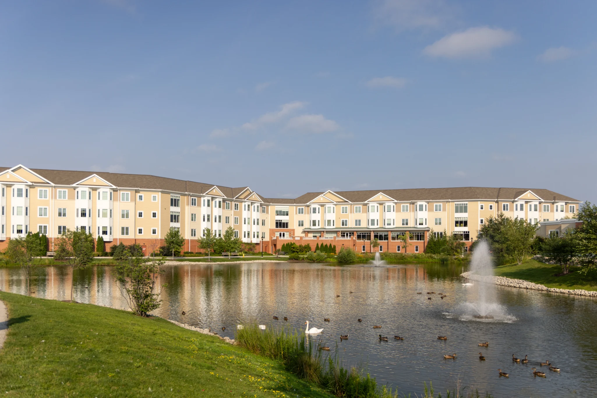 The Moorings of Arlington Heights, with a large lake with ducks swimming in the foreground
