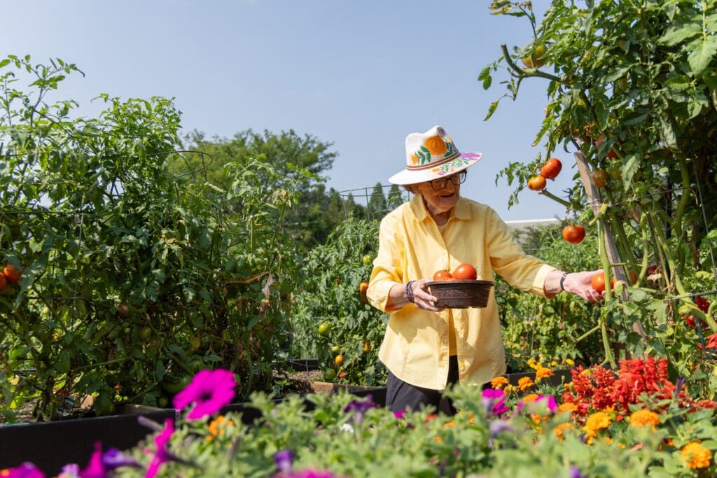 Senior woman in a garden