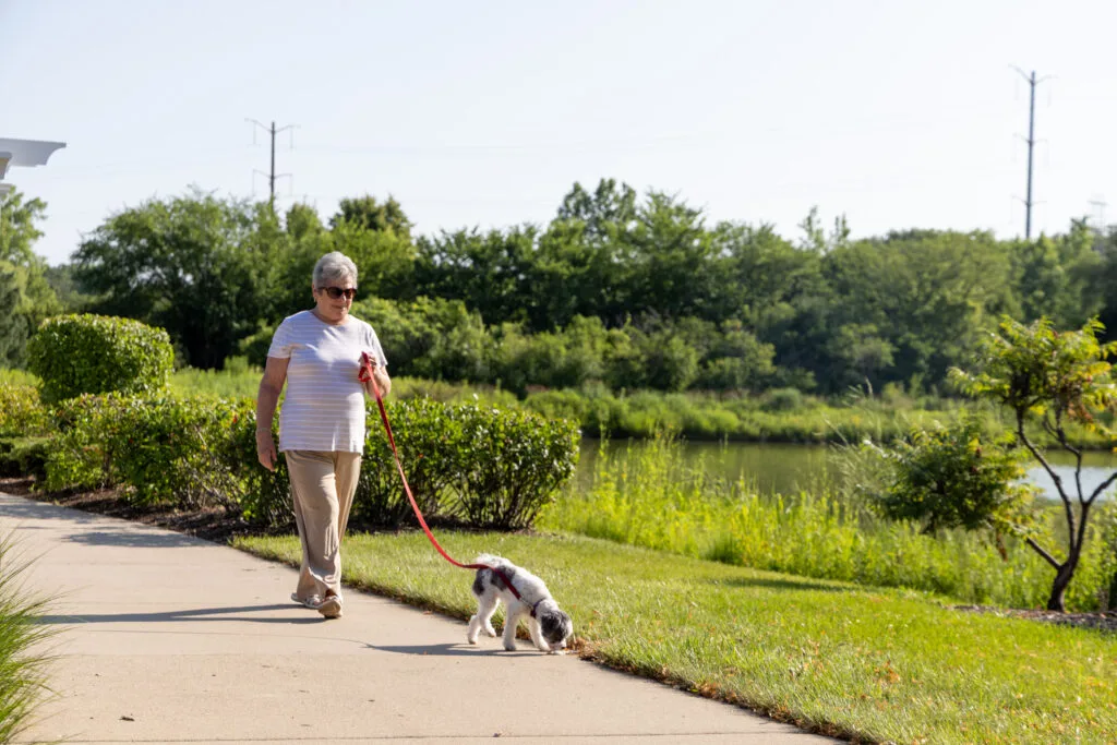 Senior woman walking dog